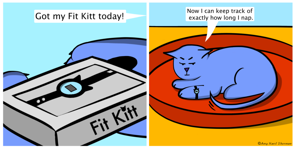 Fit Kitt xx